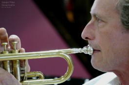 clindoeilrecords.com