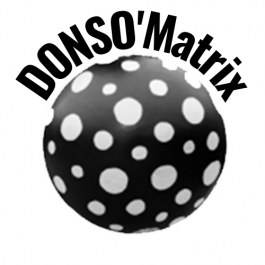 clindoeilrecords.com